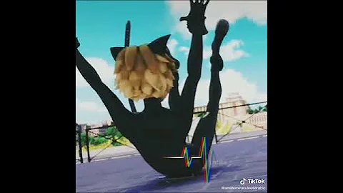 فيديو حزين عن القط الاسود 