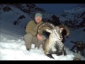 Blue Sheep and Himalayan Tahr Hunt in Nepal
