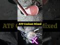 Guess What Happened To This ATF Fluid 😱‎ #atf #transmission