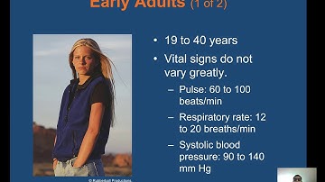 CH 7 life span development