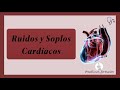 Ruidos y Soplos Cardíacos 🩺 🔊 | Semiología CardÍaca