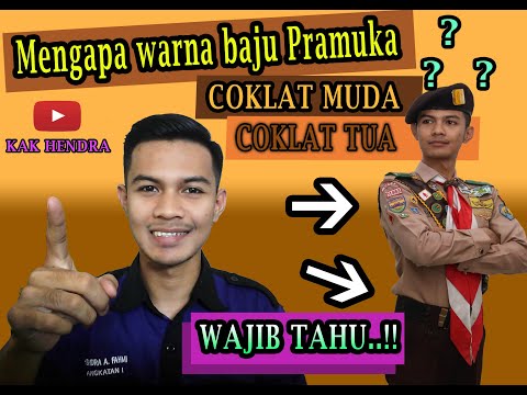 Video: Sofa Cokelat (59 Foto): Model Cokelat Muda Dan Tua, Dalam Warna Krem u200bu200bdan Cokelat, Dari Kulit Imitasi