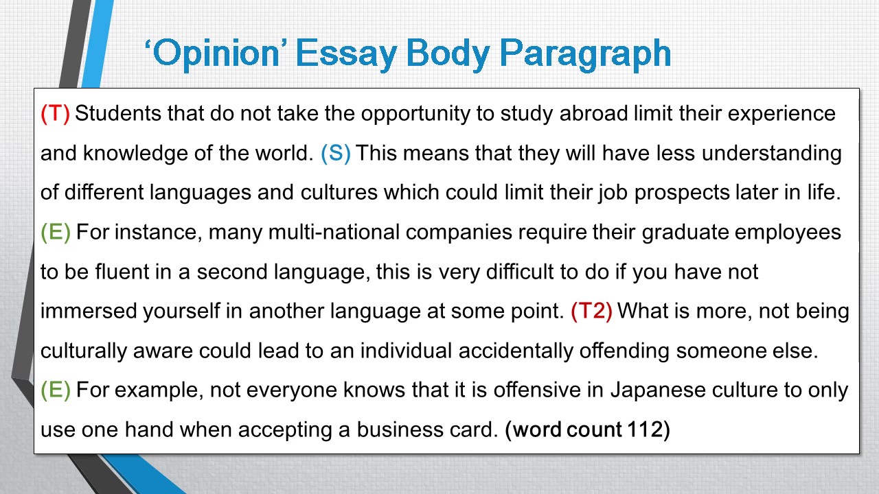 how to write body paragraphs for an essay