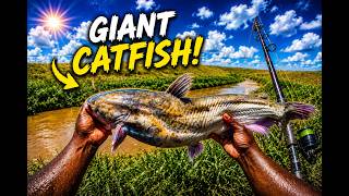 catfishing for giant catfish in muddy river