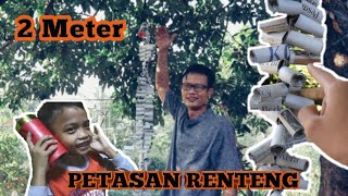 Petasan Renteng Panjang 2 Meter Khas Betawi Jakarta