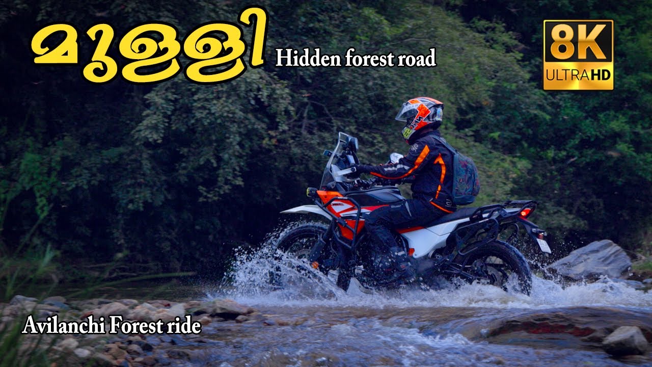 മുള്ളി Hidden forest road !!! 8K