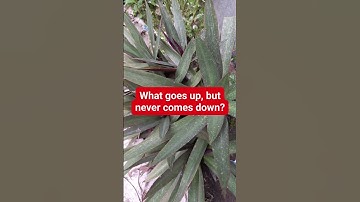 What goes up,but never comes down?#brainteaser