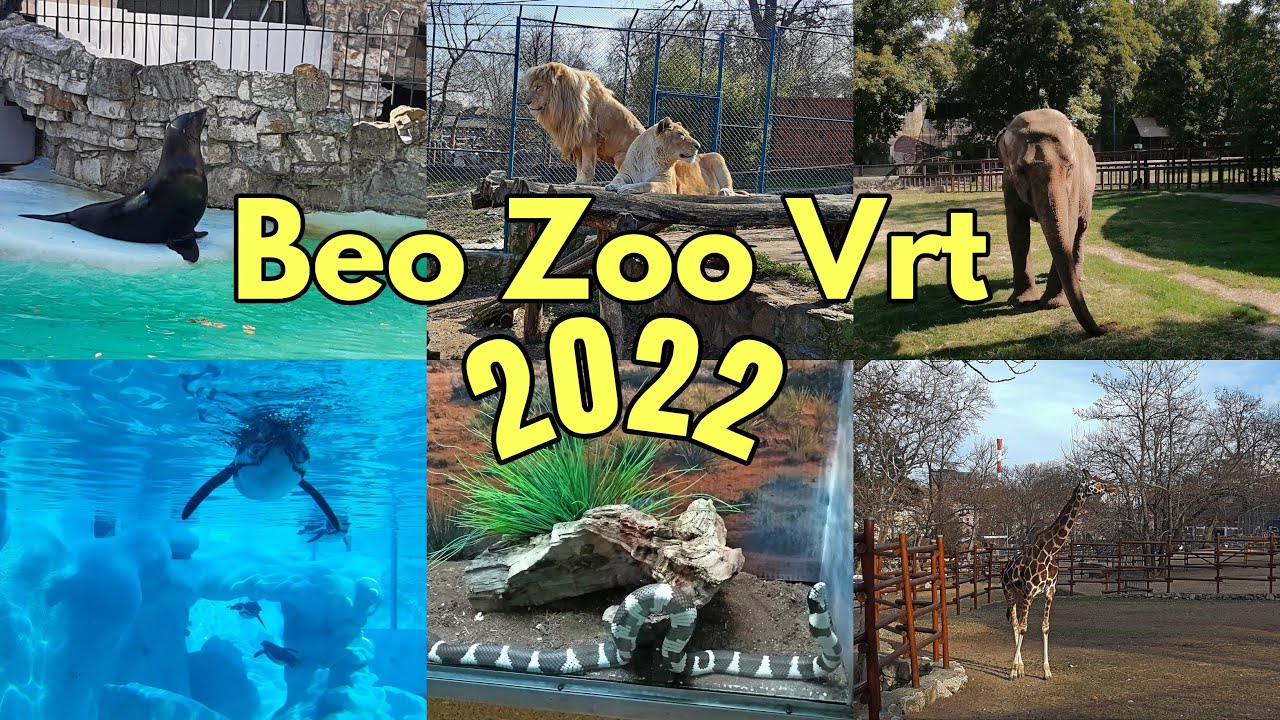 Beogradski Zoo Vrt 2022