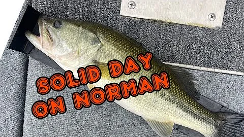 Lake Norman Fall Bass Fishing