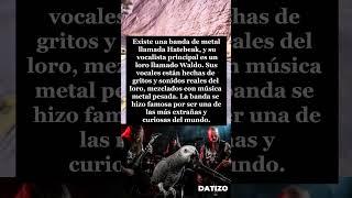 ¡La banda donde canta un loro! 🦜🎸 #datoscuriosos