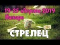 СТРЕЛЕЦ - таро прогноз 19-25 августа 2019 года НАТАРО.