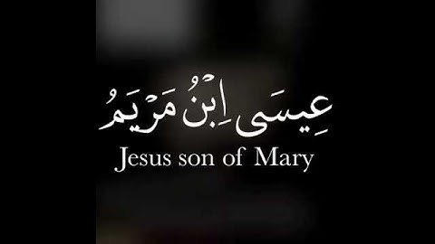 #تلاوات #ماهر_المعيقلي #ياسر_الدوسري #ناصر_القطامي #السديس #خالد_الغامدي(25)