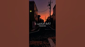 إني جزيتهم اليوم بما صبروا القارئ اسلام صبحي // اكتب شيء تؤجر عليه ❤😴