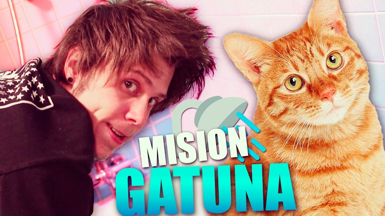 INTENTANDO DUCHAR A MIS GATOS