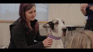 Trusted Emergency Veterinary Care For Your Pet