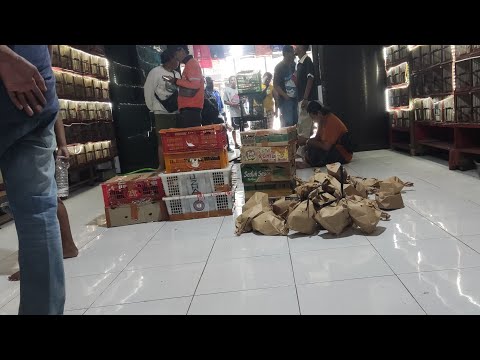 Yuk kita obral burung semua jenis burung