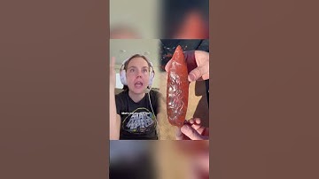 Solutions in point-and-click games #videogames #relatable #clairbearskits