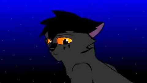 Breezepelt MAP: Perfect (Part 4 and 5)