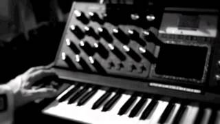 Materialized and the Moog
