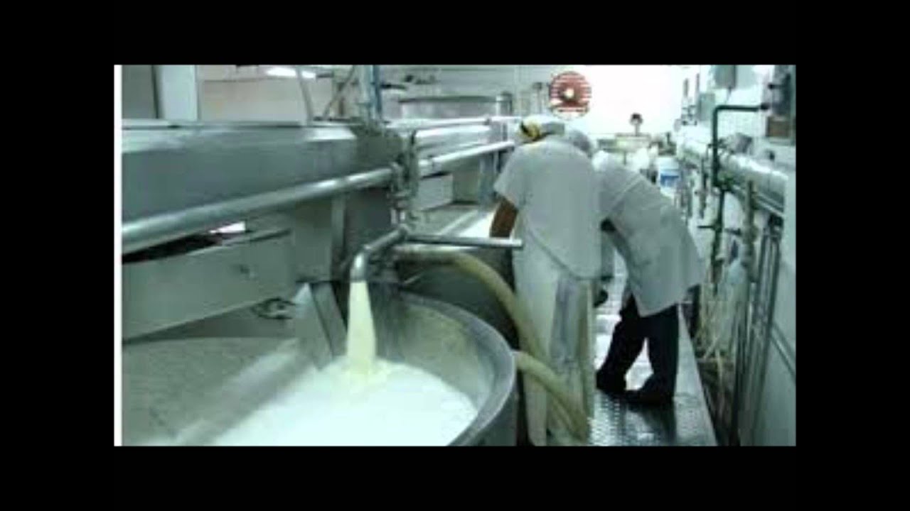 El proceso de la leche YouTube El proceso de la leche YouTube