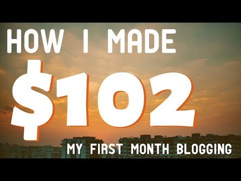 First Month Blogging Traffic And Income Report 🧐