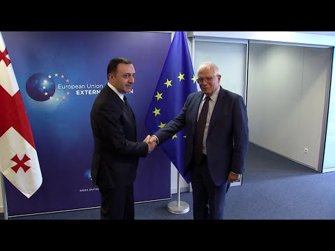 ვიცით, რულია თქვენთვის რუსეთის წინააღმდეგ წასვლა, მაგრამ  სანქციების აღსრულებას გთხოვთ - ბორელი