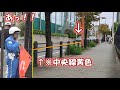 【警察24時】数秒が待てず違反してしまった車がコチラ 30km制限レーダー取り締まり ネズミ捕り 浦和警察