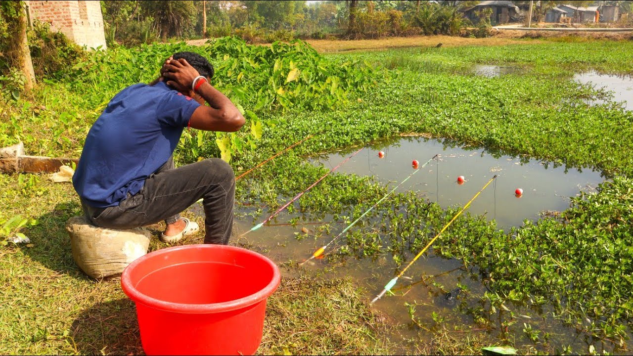 Fishing Video || Everyone Can Catch Fish if they see Expert Village boy Fishing Method || Fish Traps