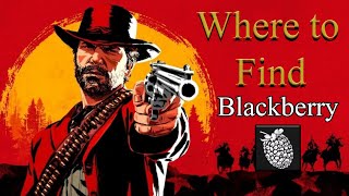 RDR2 Online - Blackberry locations