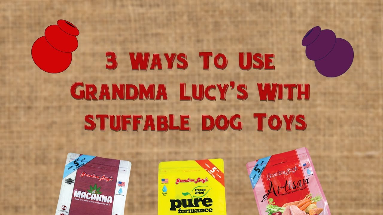 3 Ways to Fill Your Stuffable Dog Toys Using Grandma Lucy's