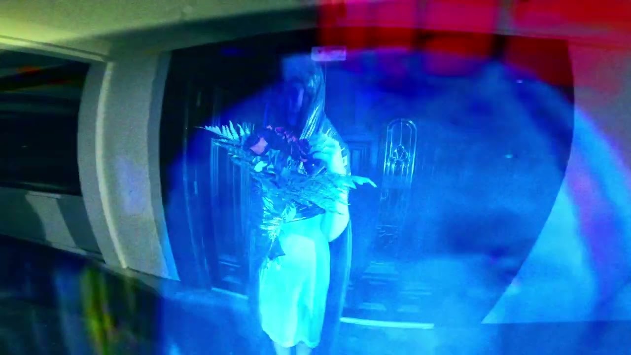 Mira ††† (Crosses) - Pulseplagg (Official Visualizer) en YouTube Mira ††† (Crosses) - Pulseplagg (Official Visualizer) en YouTube