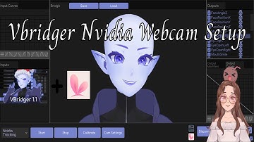 Vbridger Nvidia Webcam Setup
