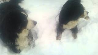 WP 20140126 123006Z