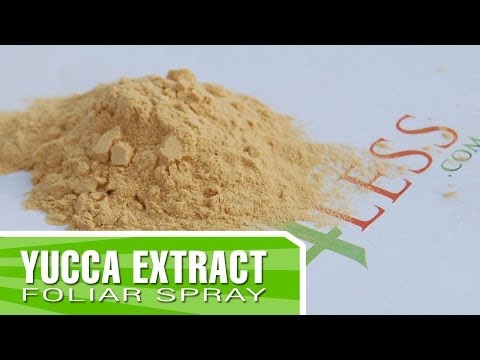 Yucca Extract - Why would you use it as fertilizer