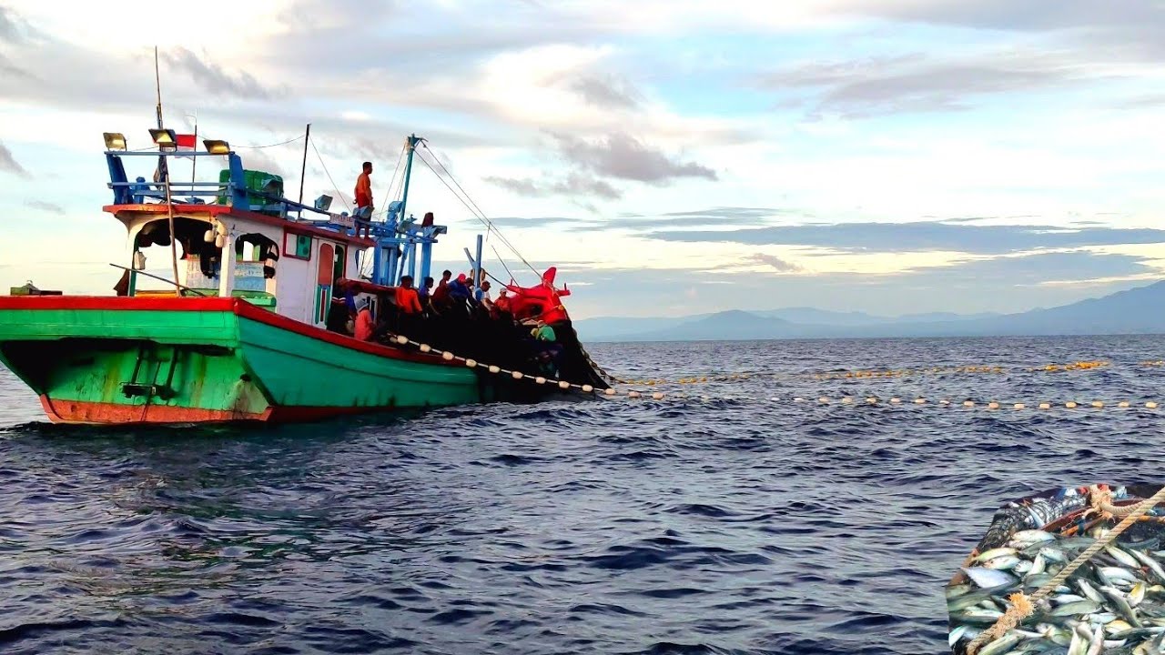 Pukat cincin, Nelayan Indonesia Dapat Banyak Ikan, luar biasa hasil tangkapan nelayan Indonesia