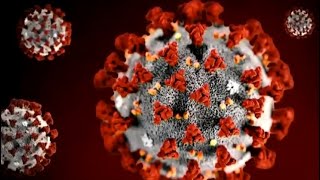 How long can coronavirus survive on you, your clothes and your home?