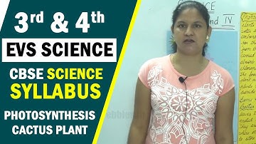 3rd & 4th EVS Science | CBSE Science Syllabus | Photosynthesis - Cactus Plant