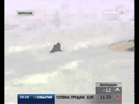 Канал новости  Бразильский серфер оседлал гигантскую волну и установил мировой рекорд
