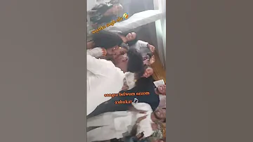 ርሑስ ጋማ Eritrean Habesha Eritreanmoviie Eritrian Eritreanwedding Eritreansongs Eritreanmoviie 
