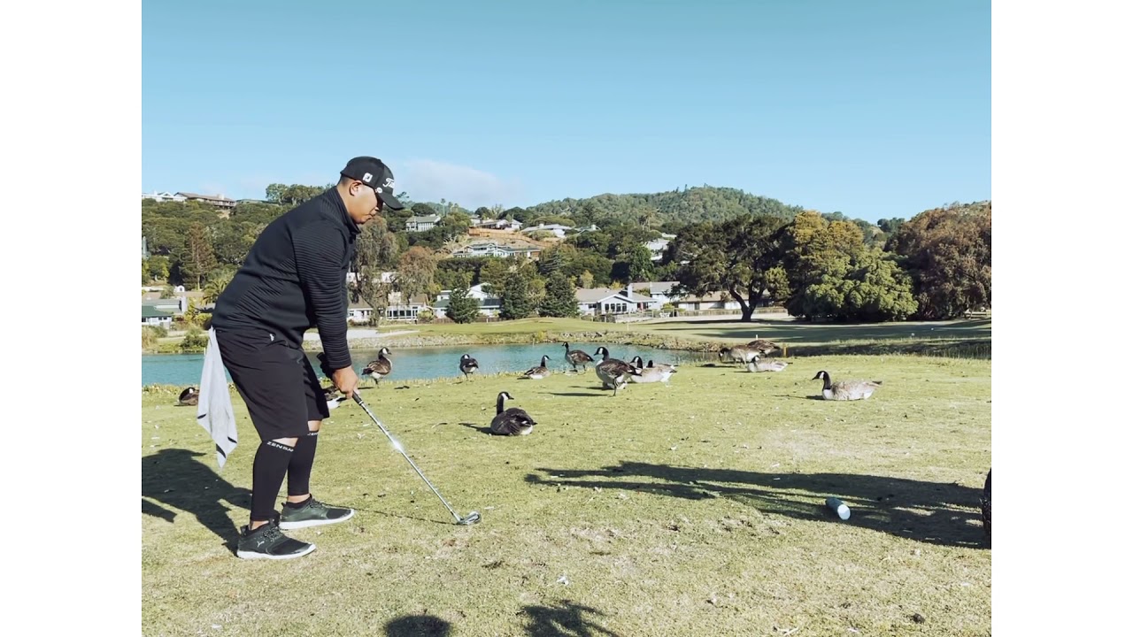🦚Peacock Gap Golf Course⛳️