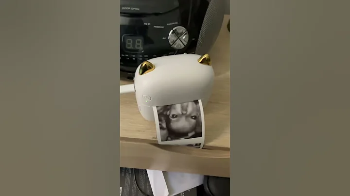 Chinese Thermal Printer Bluetooth signal picked up on TEAC CD And Radio player