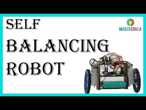 Self Balancing Bot || DIY || STEM Projects