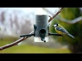 természet a kertemben 2.rész - téli madáretetés /nature in my garden part 2 - winter bird feed/