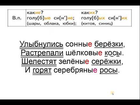 Склонение прилагательных во множественном числе  Окончания прилагательных во мн ч  в И п  и В п