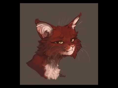 Коти вояки. Вогнезір🔥. Вивіркострибка🐿. Листоплеса🌿 - YouTube