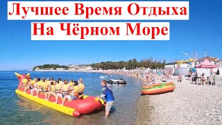 картинка: Все Пляжи Забиты 👙☀️ Море Кайф 🏖️ Сентябрь 2025 🎉 Геленджик Дивноморское Лучшее Время на Чёрном Море