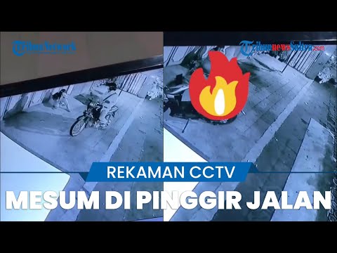 Video Viral Rekaman CCTV Adegan Mesum di Pinggir Jalan, Wanita Didatangi Sejumlah Pria Naik Motor