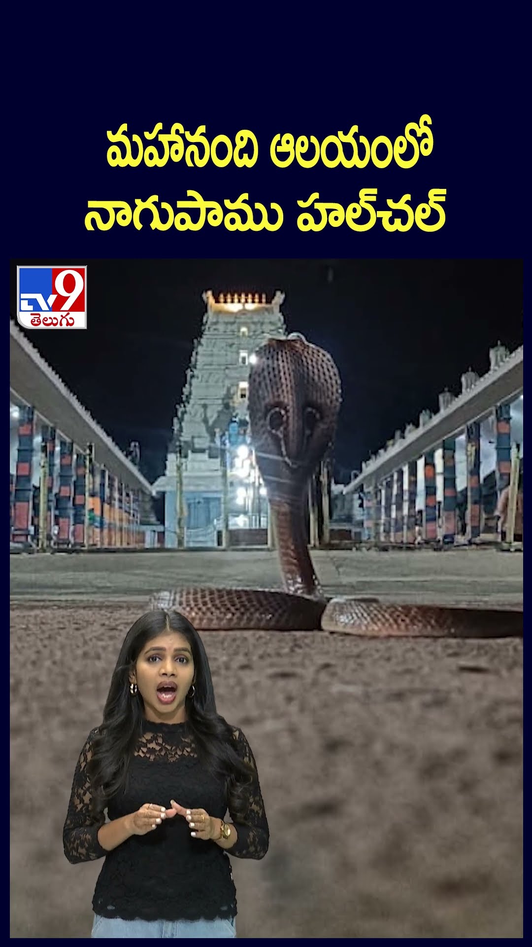 మహానంది ఆలయంలో నాగుపాము హల్‌చల్‌ - TV9