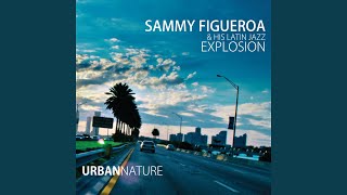 Video thumbnail of "Sammy Figueroa - Funny Talk"