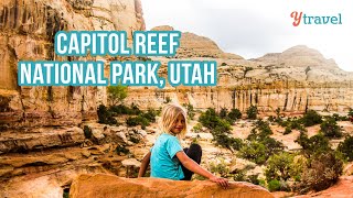 The Spectacular Capitol Reef National Park with Kids! (Unmissable Utah)